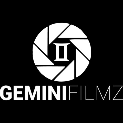 geminifilmz onlyfans leaked picture 2