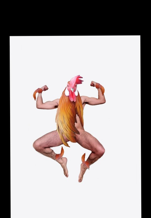 rooster2019 onlyfans leaked picture 2