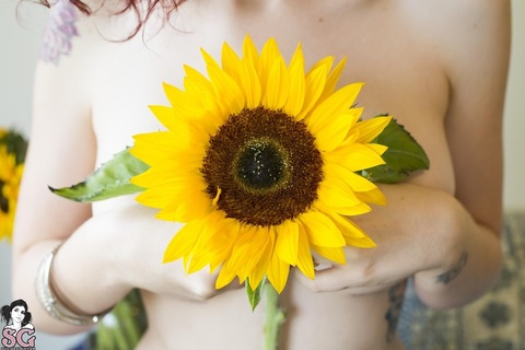 sunflower.free onlyfans leaked picture 2