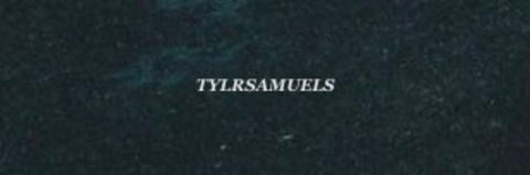 tylrsamuels onlyfans leaked picture 2